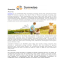 Sunwise-  air conditioning bunbury