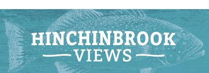 Hinchinbrook Views