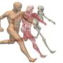 Gait-Analysis
