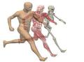 Gait Analysis and Sport Injuries