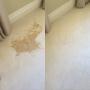 Pet Stain Removal Melbourne