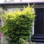 Metro Realty Toowoomba