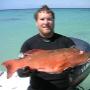 snapper fish on Port Phillip Bay