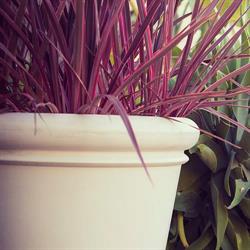 Pots R Us Pty Ltd