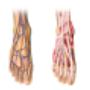 Foot Treatment