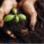 love your garden