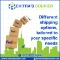 _Chitras Courier Posts 37 Posts (1)