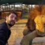 Lion sleeps tonight