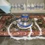 austral cleaning
