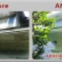 austral cleaning