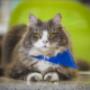 Uploaded by visitor on 29/11/2017 - Dr Darcy - Conceirge