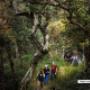 australia travel agency