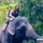 travel agency