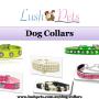 Dog accessories