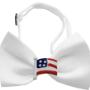 pet bow tie