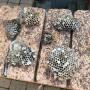 Wasp Nests