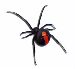 Die Pest