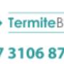 termites brisbane