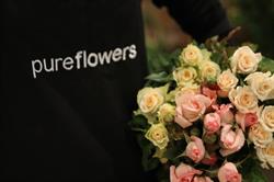 Pure Flowers