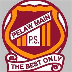 Pelaw Main Public School