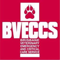 Brisbane Veterinary Emergency and Critical Care Service