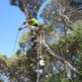 Horticulturist on The Mornington Peninsula