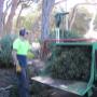 Tree Services and mulching on The Mornington Peninsula