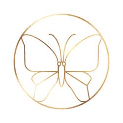 Chrysalis Medispa