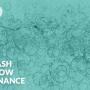 Cash Flow Finance