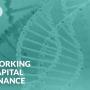 Working Capital Finance