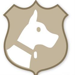 Dogs HQ - Abbotsford