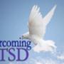 EMDR Therapy Sydney
