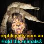 Reptile party shows