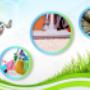 tile and grout cleaning Melbourne