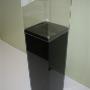 Display case with pedestal base