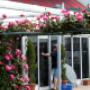 commercial window cleaning glen iris
