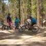 mountain biking instructor