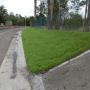 Hydromulching