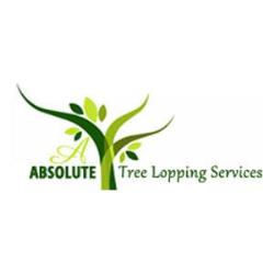 A Absolute Tree Lopping Services