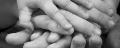 Power Of Attorney Guardianship
