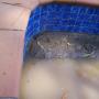 pool repair