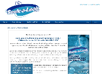 Seek-a-Leak's website