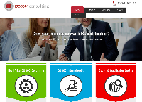 ISO 9001 consulting