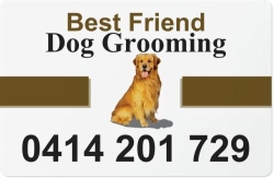 Best Friend Dog Grooming