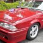 Uploaded by visitor on 20/3/2018 - car detailing Melbourne holden
