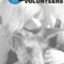 overseas volunteer work