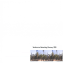 Cottesloe Car and Ute Hire