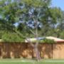 Fencing Brisbane