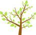 Deck Builders Melbourne