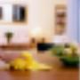 Regidential Cleaning Services